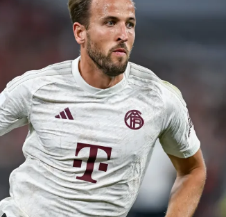 转会申请无 转会申请无