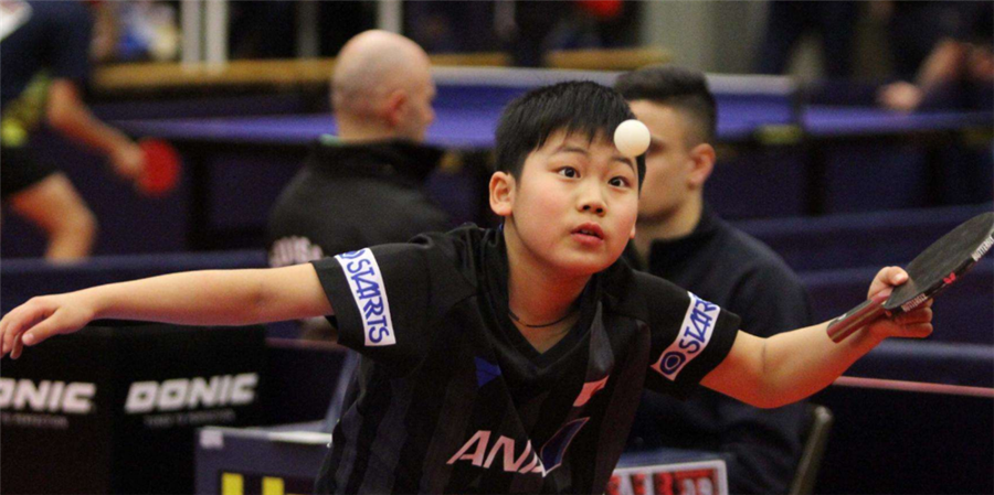 不仅展示了 不仅展示了