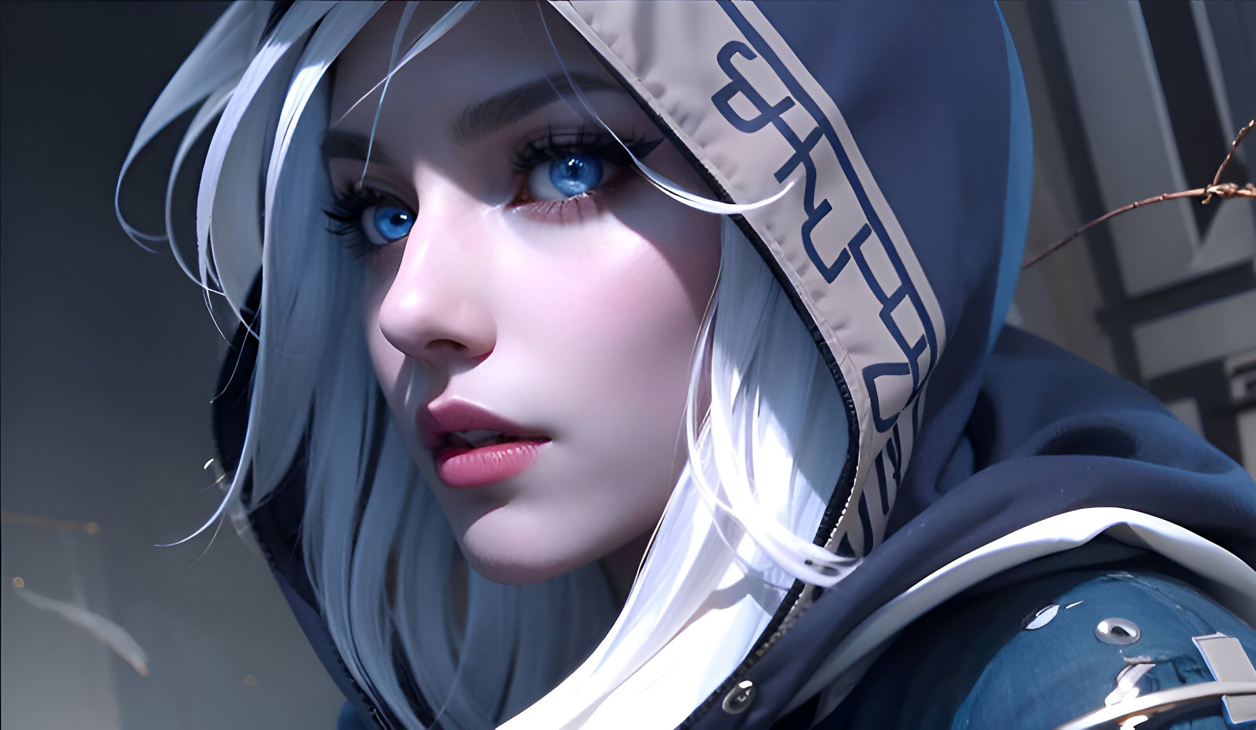 的粉丝们来 的粉丝们来