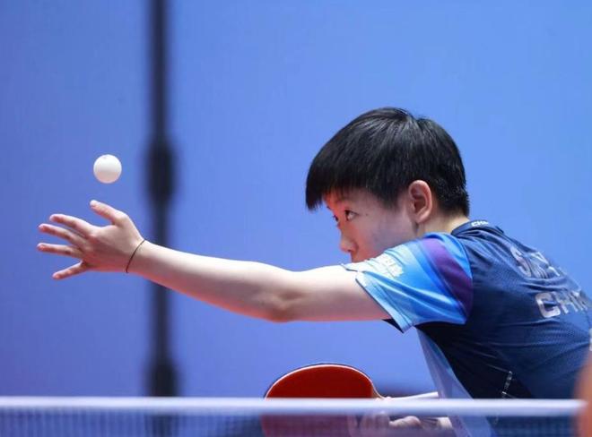 的职业生涯 的职业生涯