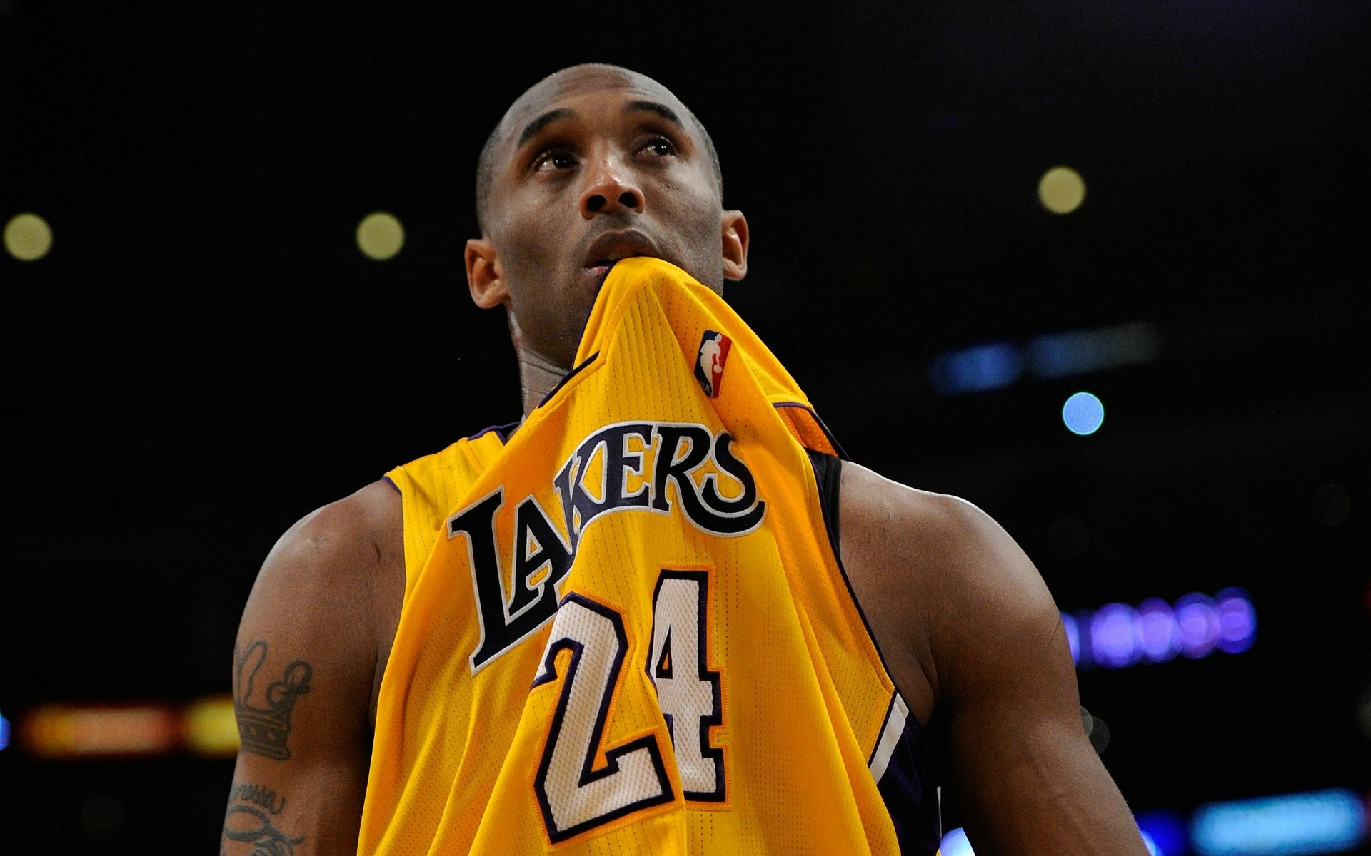 社交传播 社交传播