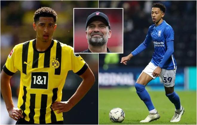 叠加群体回 叠加群体回